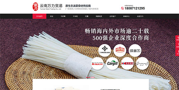 云南万力贸易有限公司-营销型网站案例展示