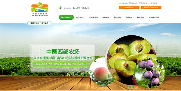 绥江县金龙现代农业有限公司-营销型网站案例展示